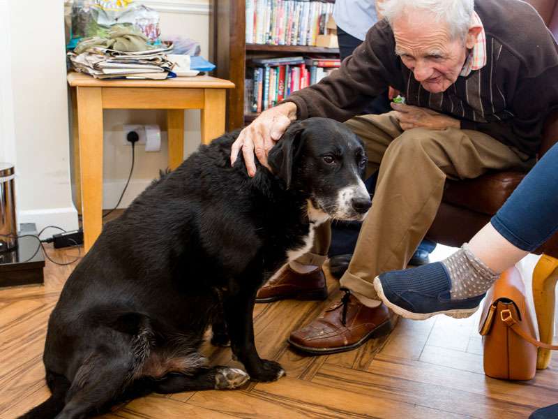 mowlam moycullen pet therapy